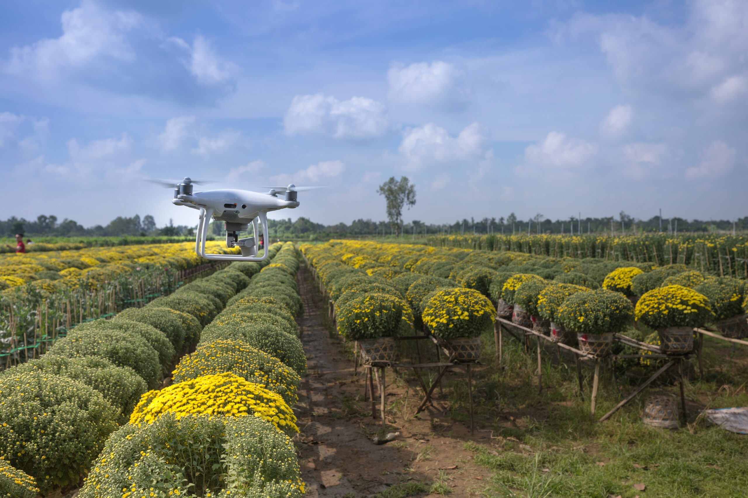Digital Farming