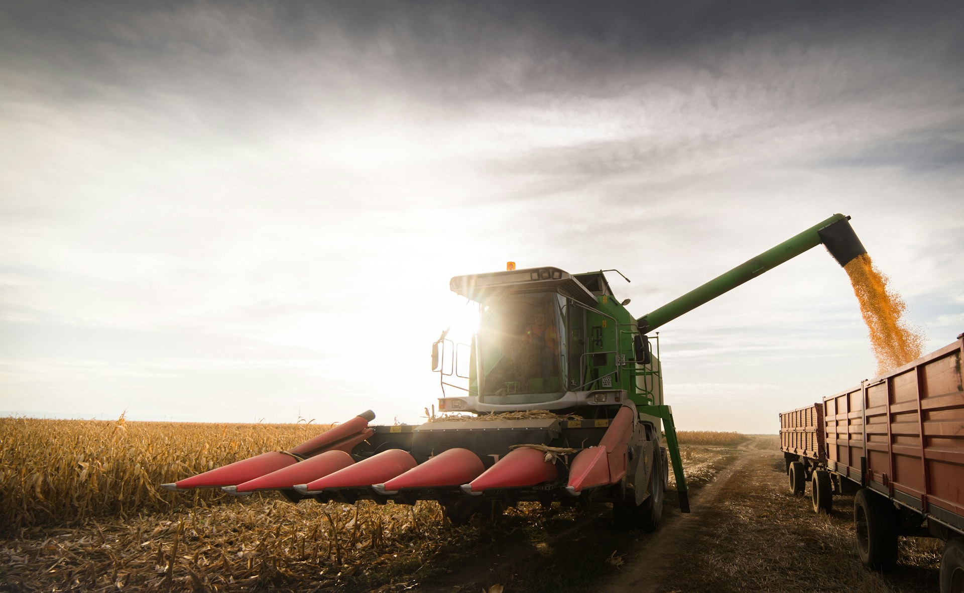 grain storage and preservation