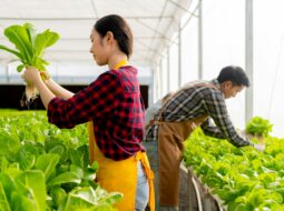 eco-friendly crop management