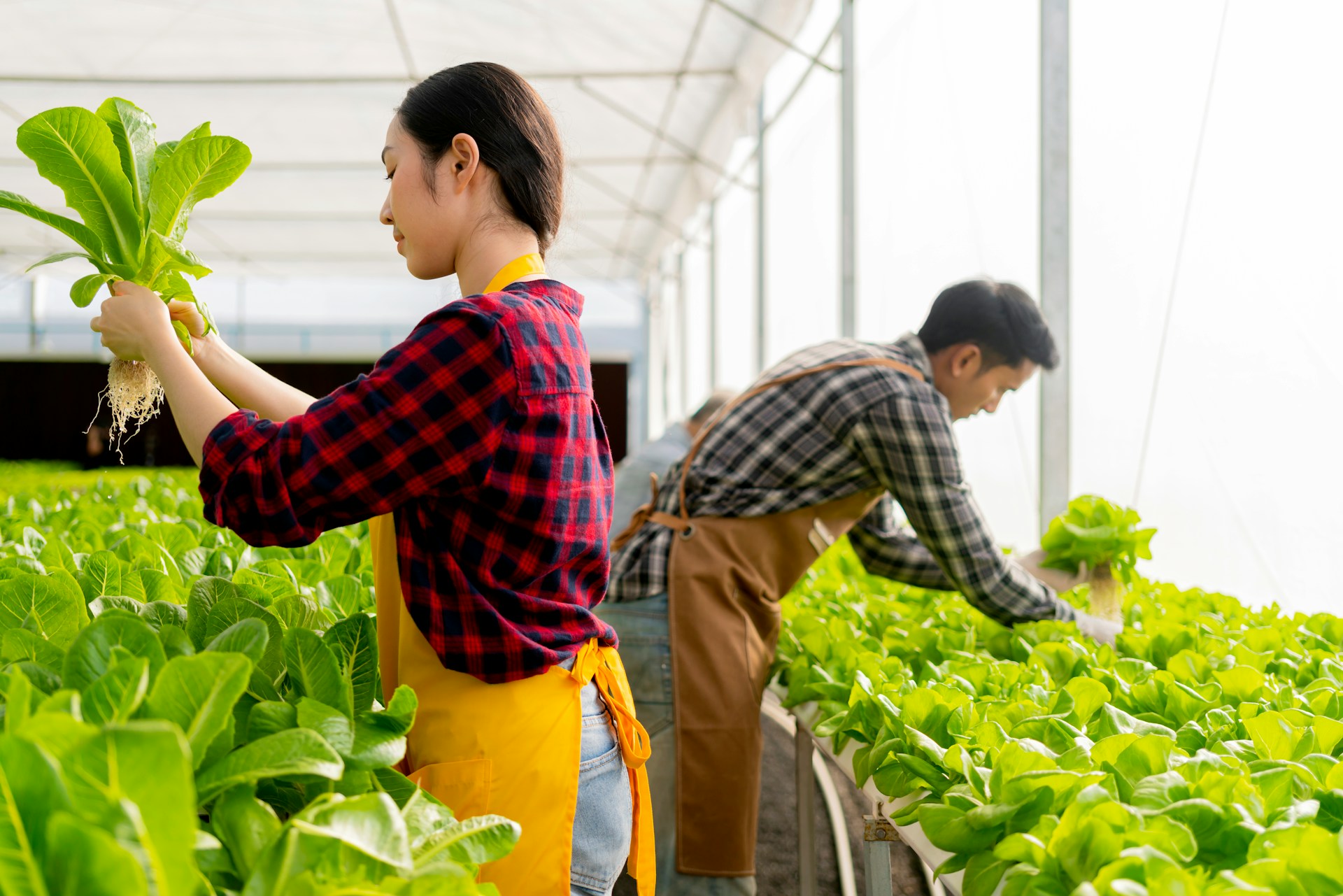eco-friendly crop management