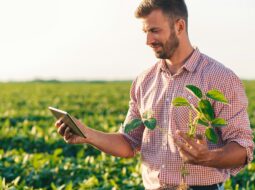 smart agriculture