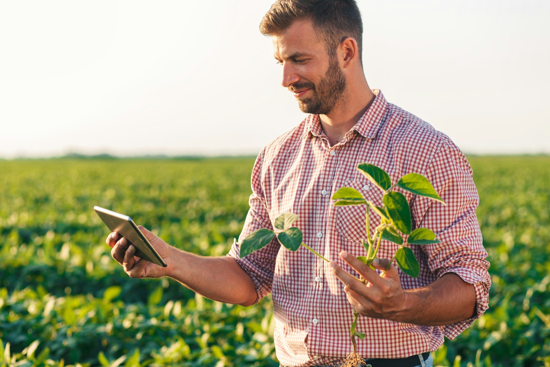 smart agriculture
