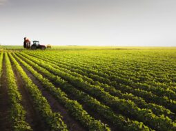 sustainable farming