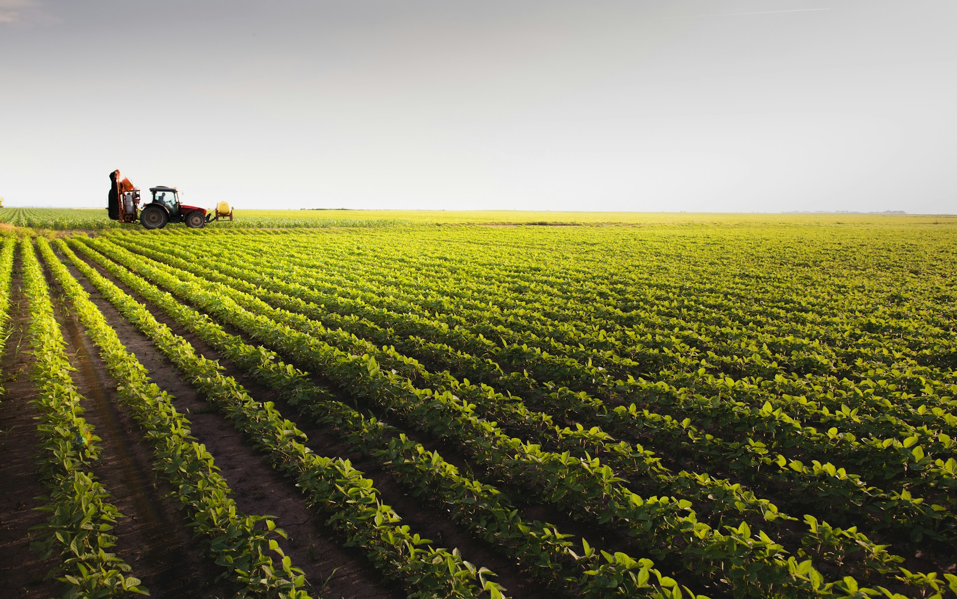 sustainable farming