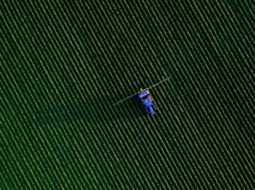 Agriculture