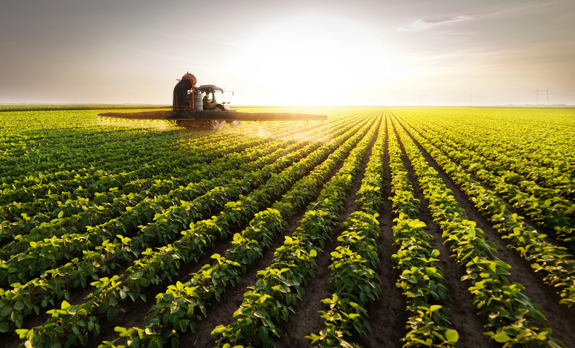 sustainable farming strategies