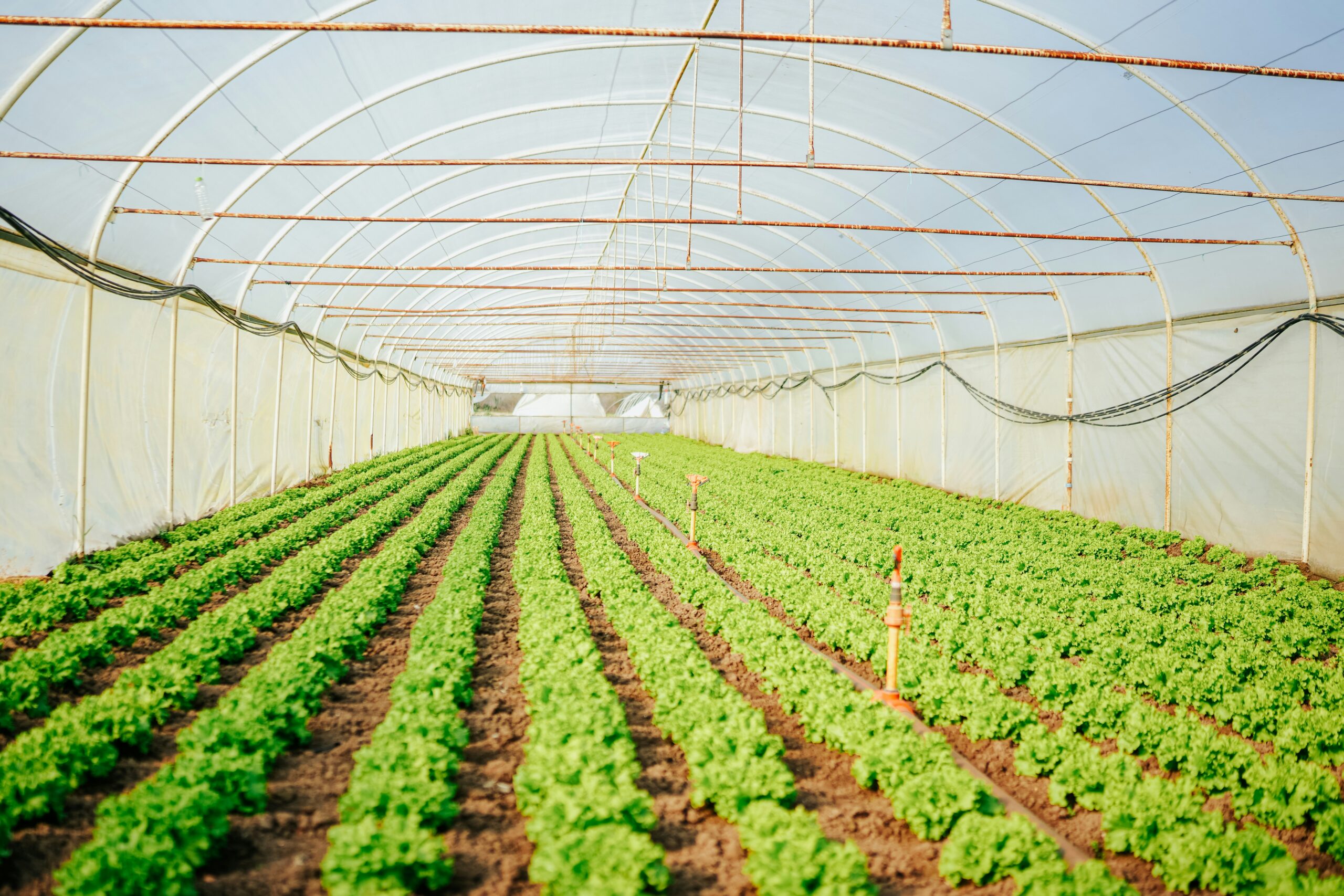 Sustainable Farming