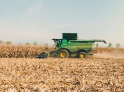 Modern combine harvester collecting crops in a large agricultural field, representing efficient farming and grain production technology.
