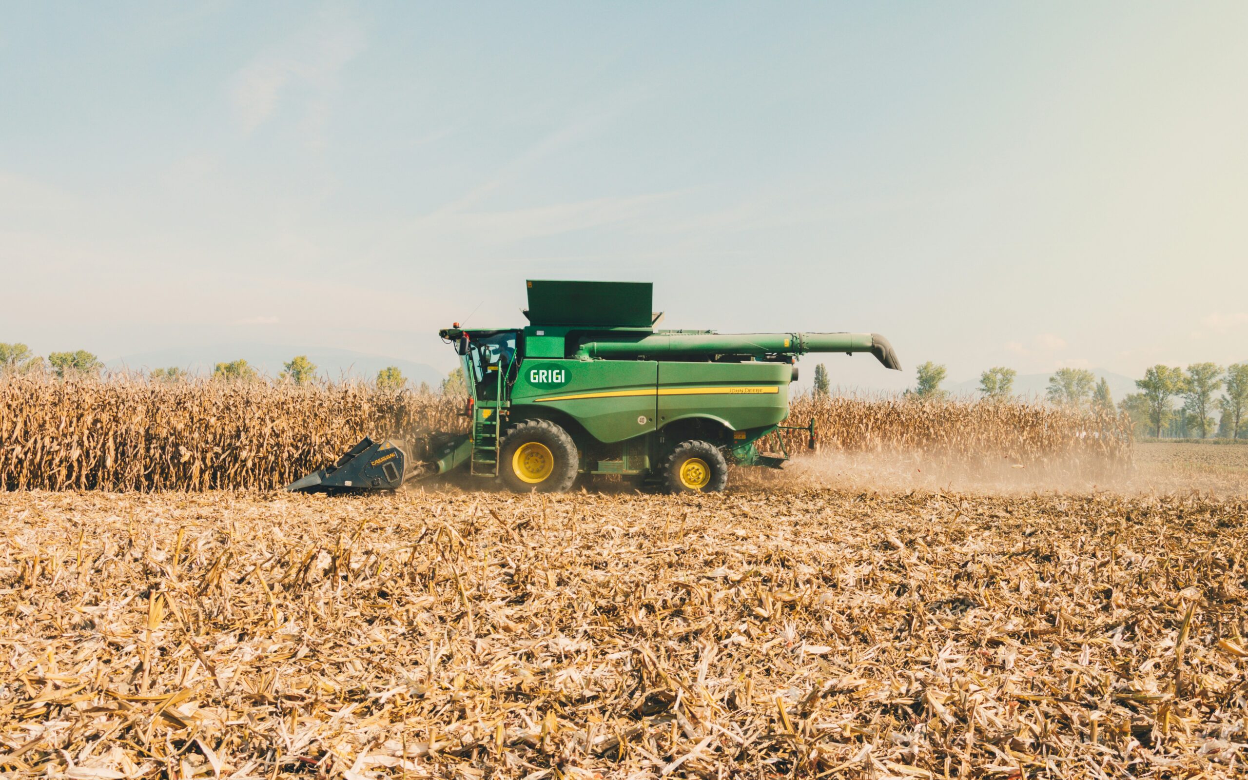 Modern combine harvester collecting crops in a large agricultural field, representing efficient farming and grain production technology.