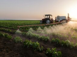 sustainable agriculture