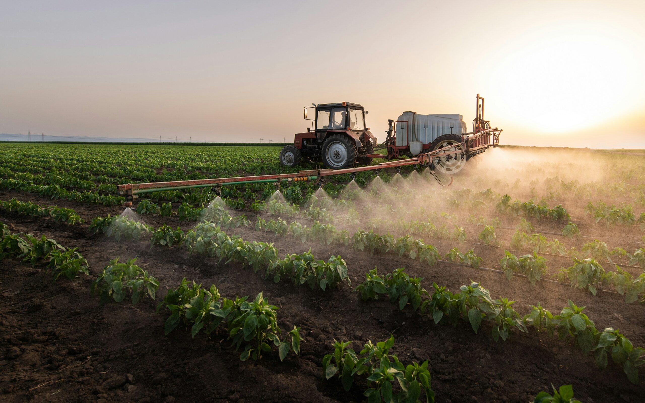 sustainable agriculture